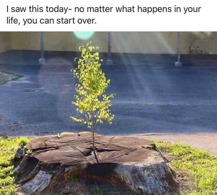 saw this today no matter what happens in your life you can start over