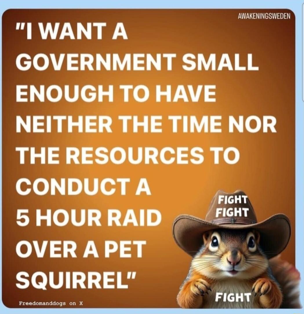 ANMENIGSNEDEN I WANT A GOVERNMENT SMALL o1V el ol ol VT3 NEITHER THE TIME NOR THE RESOURCES TO CONDUCTA o Y 2 oV87s ff VER A PET o E 1 SQUIRREL Fienr