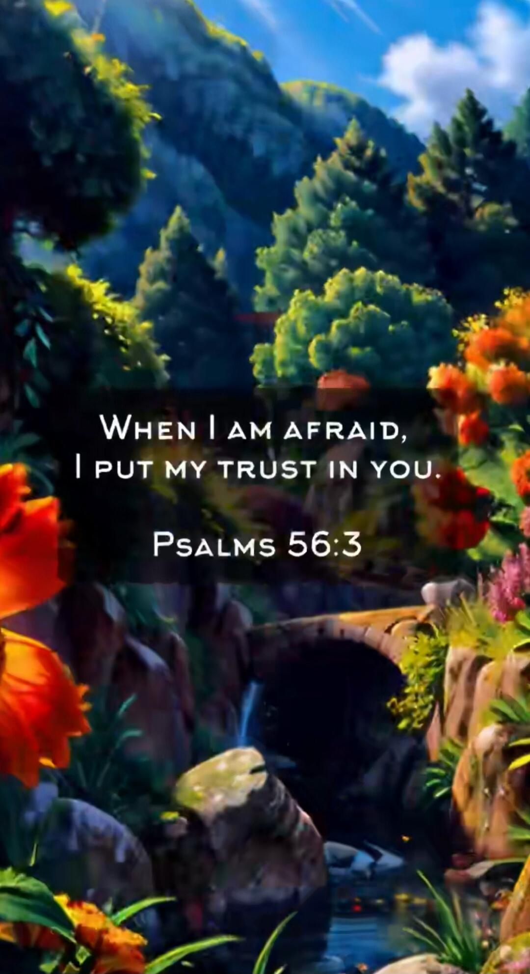 WHEN I AM AFRAID, I PUT MY TRUST IN YOU. PSALMS 56:3