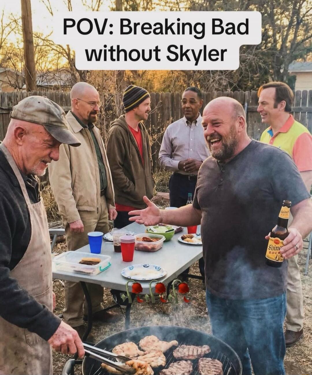 POV: Breaking Bad without Skyler