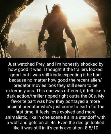 Ve Just watched Prey and Im honestly shocked by how good it was thought it the trailers looked good but was still kinda expecting it be bad because no matter how good the recent alien predator movies look they still seem to be extremely ass This one was different it felt like a dark actionthriller ripped right outta the 80s My favorite part was how they portrayed a more ancient predator whos just 