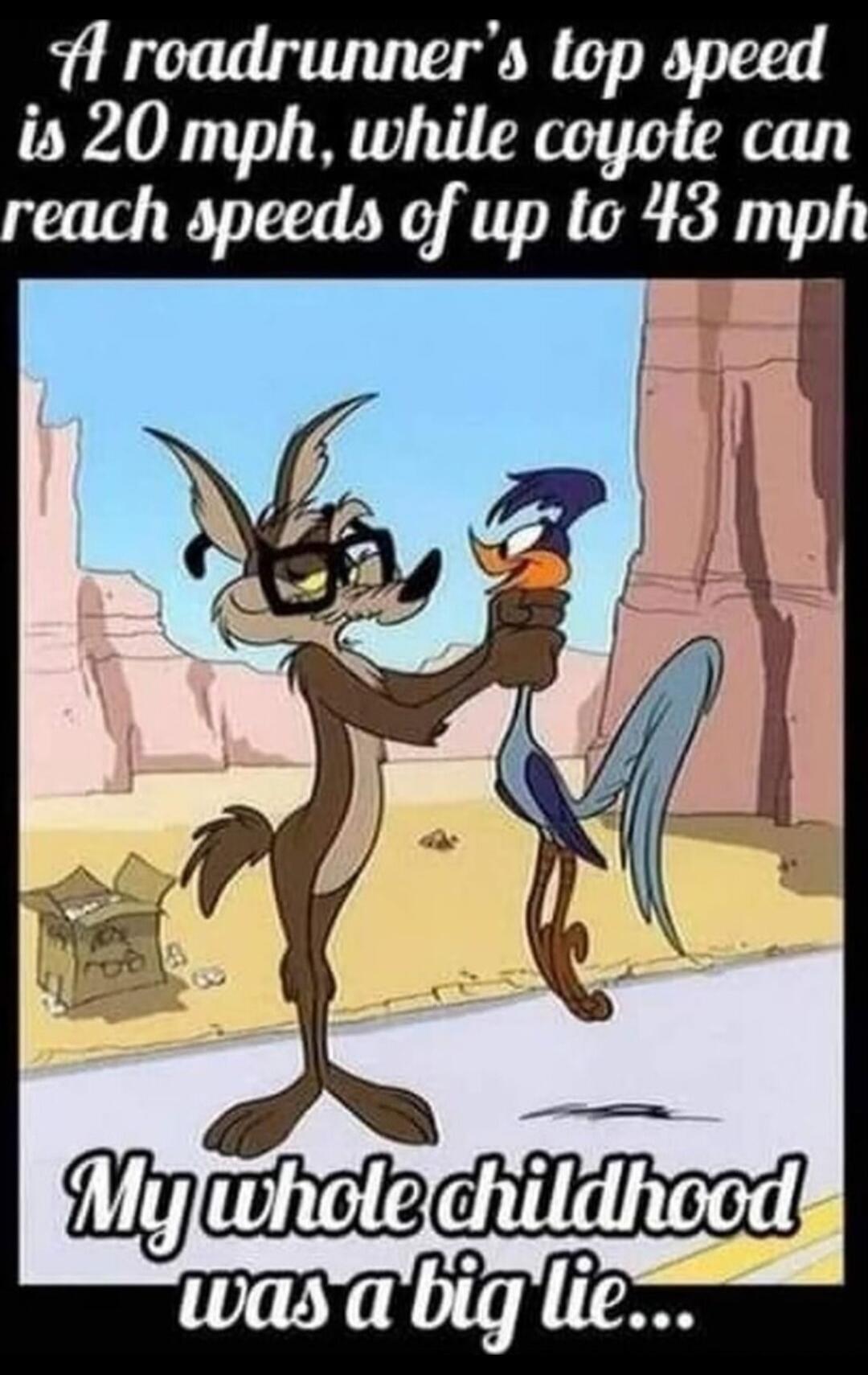 A roadrunner's top speed is 20 mph, while coyote can reach speeds of up to 43 mph. My whole childhood was a big lie...