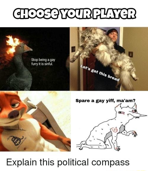 Explain this political compass