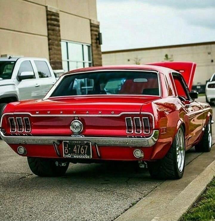MUSTANG B-4767