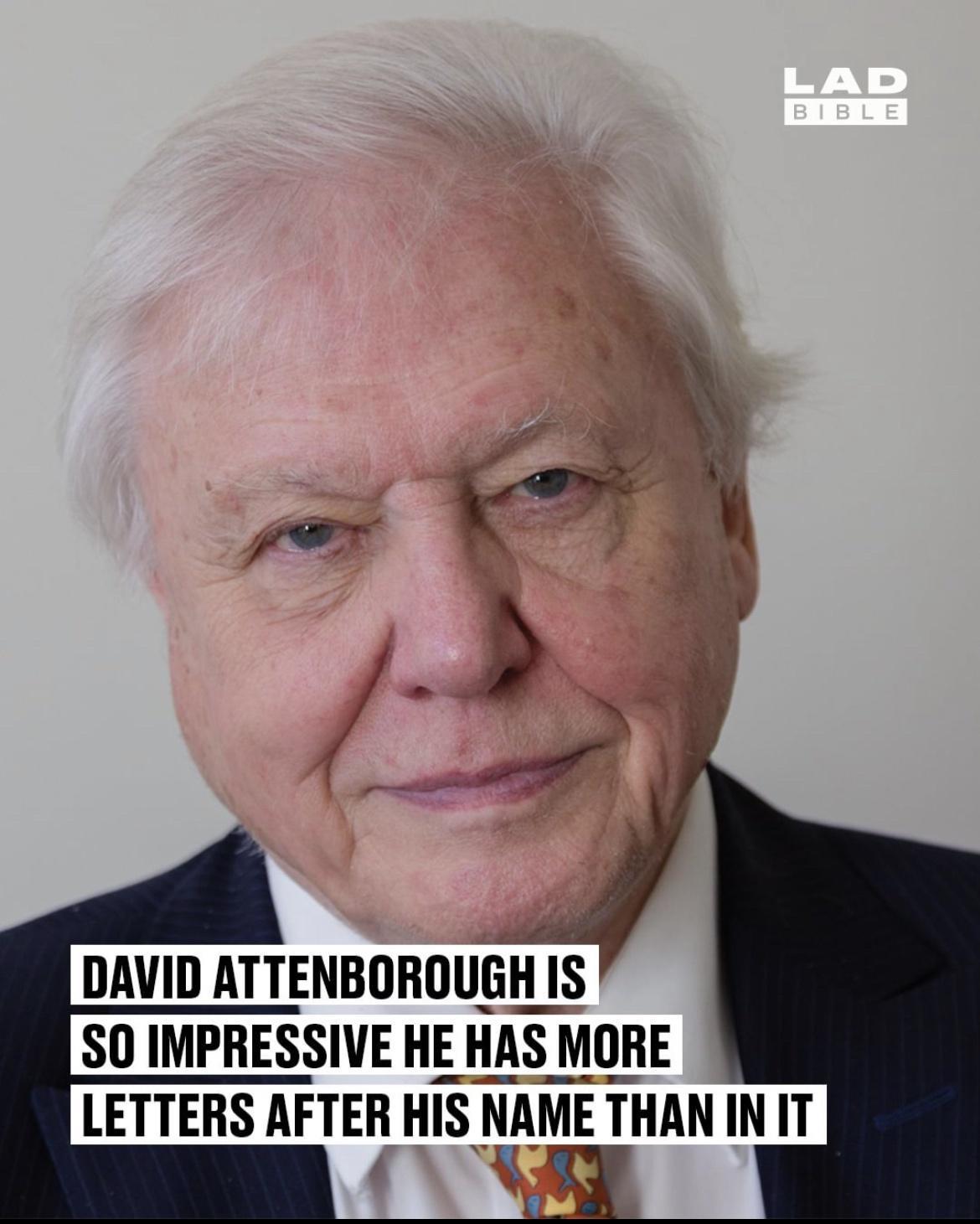 DAVID ATTENBOROUGH IS SO IMPRESSIVE HE HAS MORE LETTERS AFTER HIS NAMKE THAN IN IT