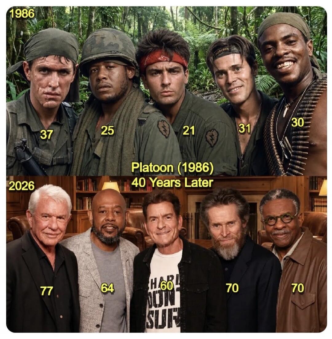 1986 37 25 21 31 30 Platoon (1986) 40 Years Later 2026 77 64 60 70 70