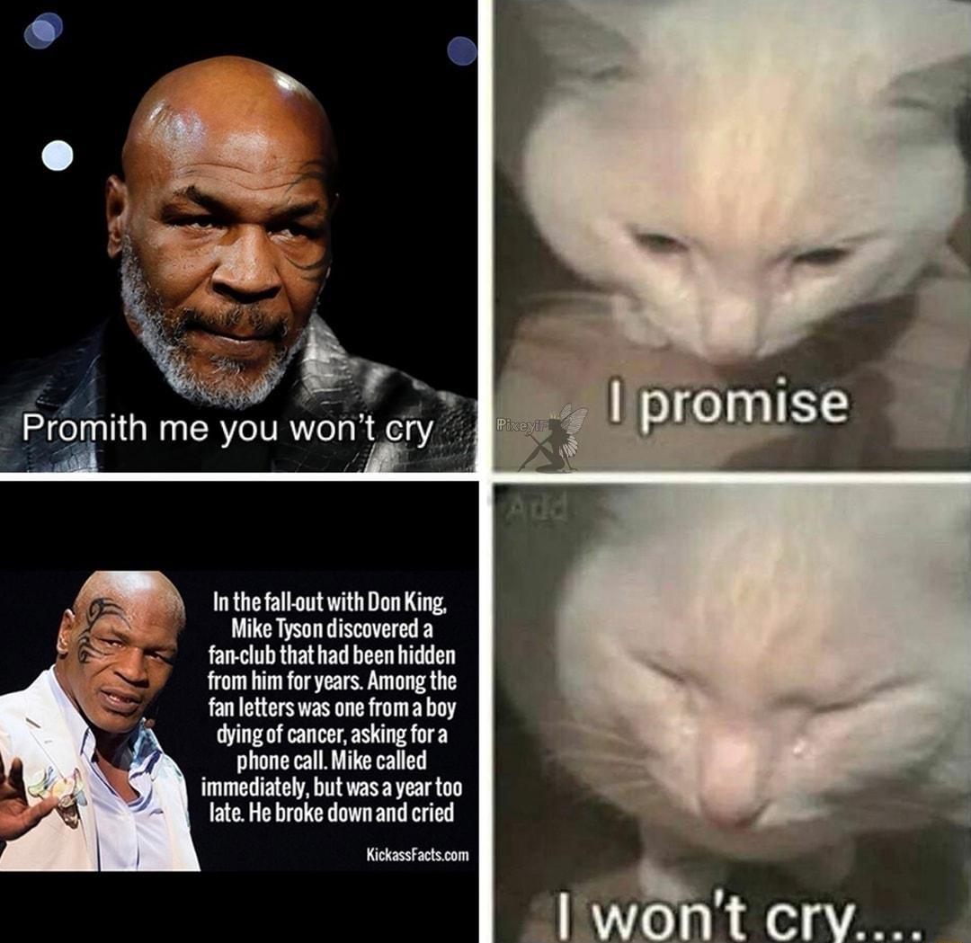 W T Promith me you won Inthe falloutwith DonKing Mike Trson discovereda fancubthathad beenhidden o imforyears Among the anleterswas one fomaboy dingof cancr akingfora phone cal ke called immediately butvasayar too Tate Hobrokedownand cred