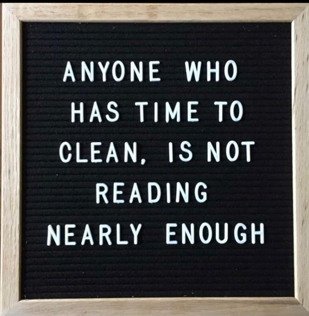 ANYONE WHO HAS TIME TO CLEAN, IS NOT READING NEARLY ENOUGH