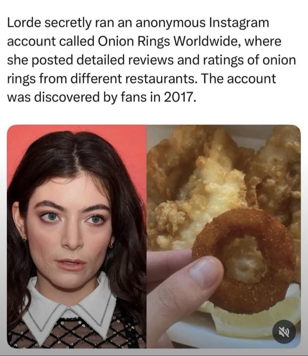 Lorde secretly ran an anonymous Instagram account called Onion Rings Worldwide, where she posted detailed reviews and ratings of onion rings from different restaurants. The account was discovered by fans in 2017.