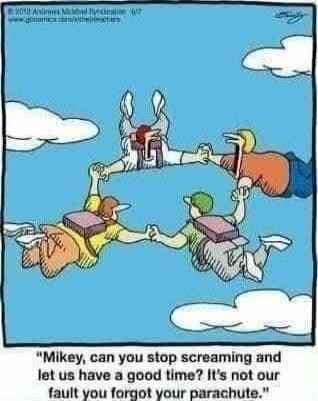 Mikey, can you stop screaming and let us have a good time? It's not our fault you forgot your parachute.