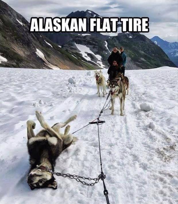 AlASIAN Fl_AI_IIIIE