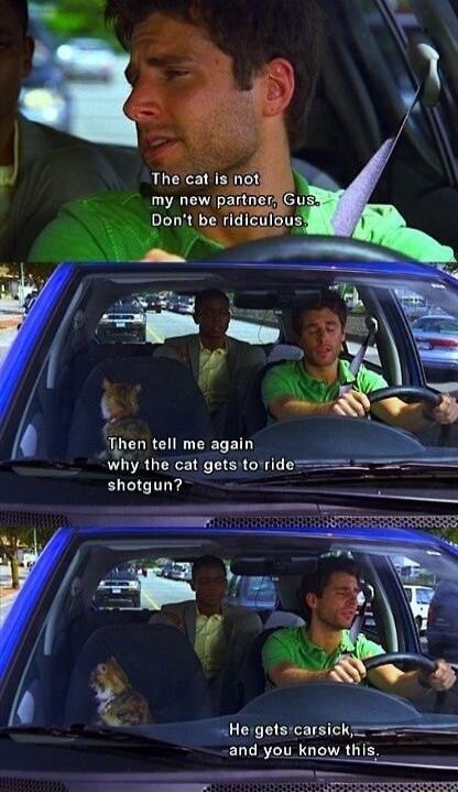 uhen tell me again why the cat gets to ridem shotgun e and you know this e e EE