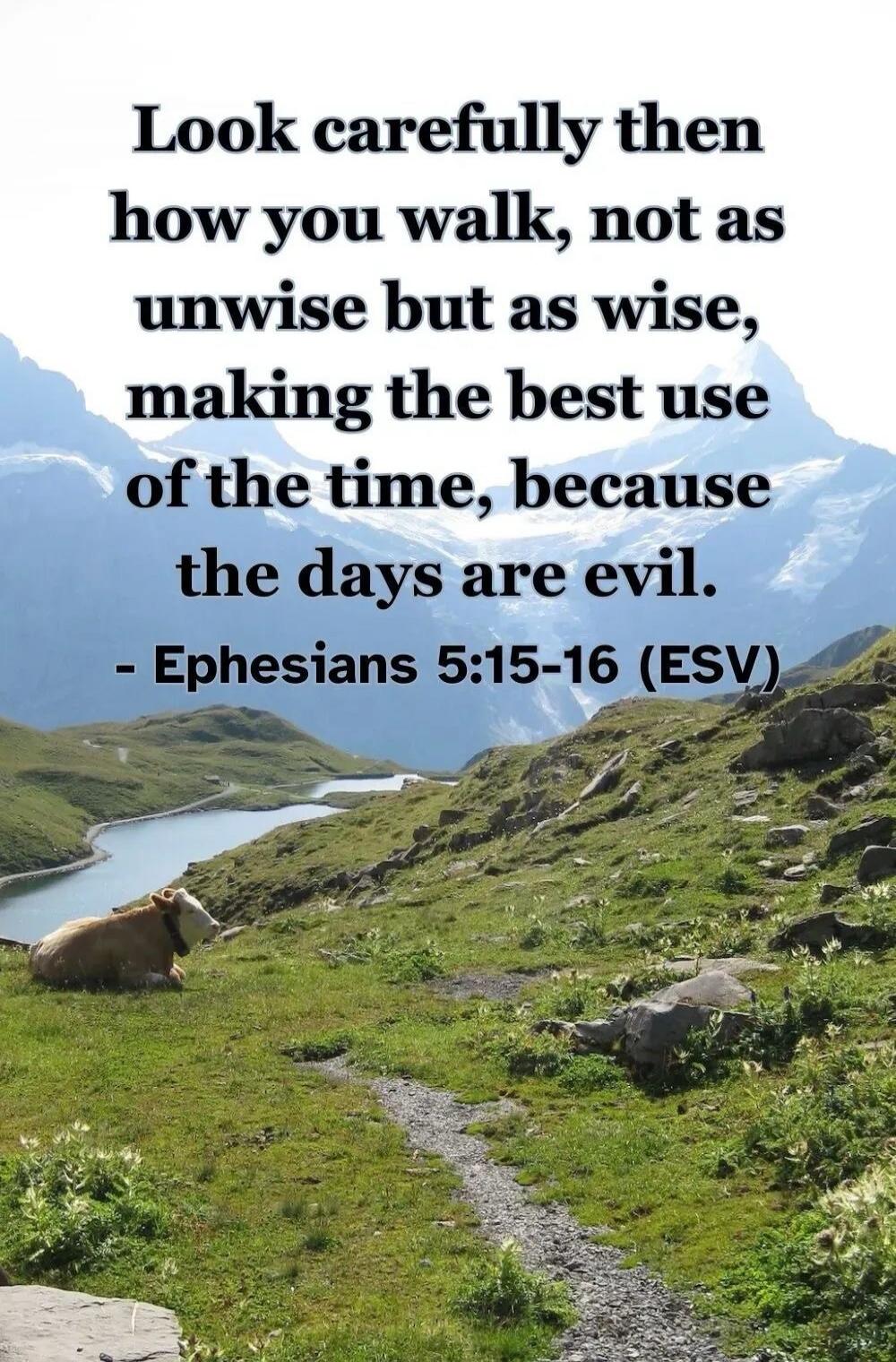 Look carefully then how you walk, not as unwise but as wise, making the best use of the time, because the days are evil. - Ephesians 5:15-16 (ESV)