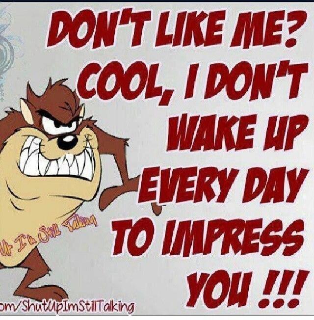 DON'T LIKE ME? COOL, I DON'T WAKE UP EVERY DAY TO IMPRESS YOU !!!