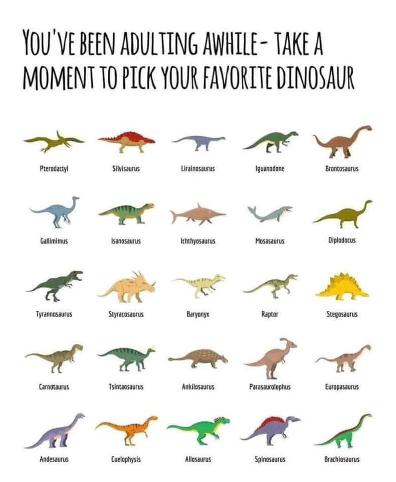 YOUVE BEEN ADULTING AWHTLE TAKE A MOMENTTO PICK YOUR FAVORTTE DINOSAUR