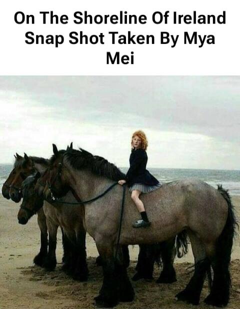 On The Shoreline Of Ireland Snap Shot Taken By Mya Mei