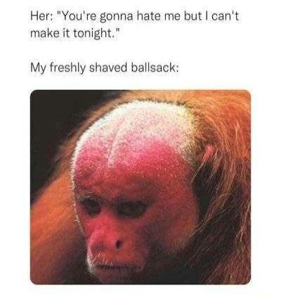 Her Youre gonna hate me but cant make it tonight My freshly shaved ballsack