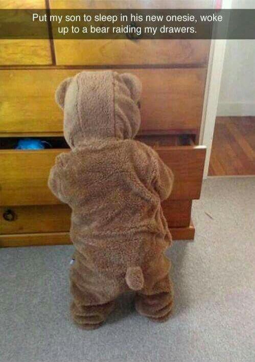 Put my son to sleep in his new onesie, woke up to a bear raiding my drawers.