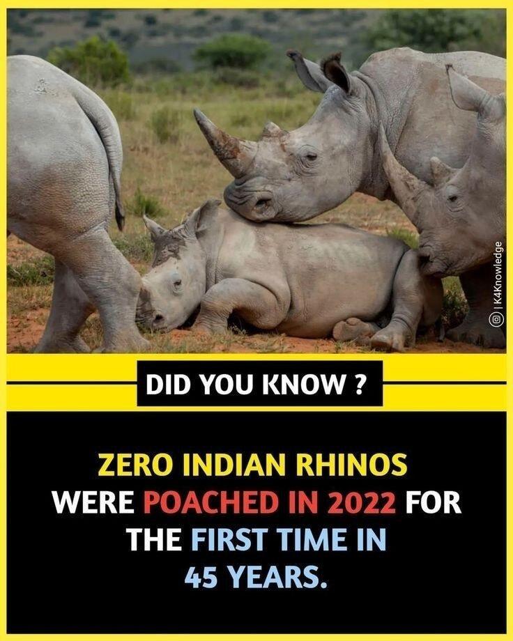 DID YOU KNOW ZERO INDIAN RHINOS WERE POACHED IN 2022 FOR THE FIRST TIME IN 45 YEARS