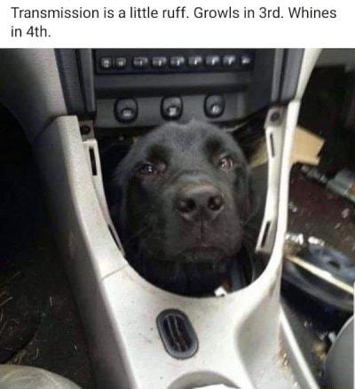 Transmission is a little ruff Growls in 3rd Whines in 4th