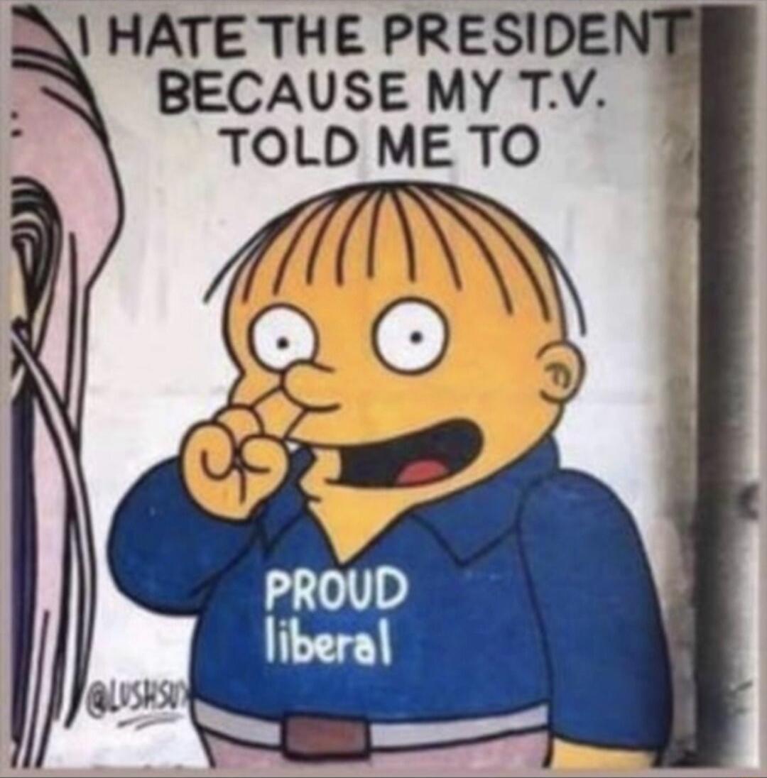I HATE THE PRESIDENT BECAUSE MY T.V. TOLD ME TO
PROUD liberal