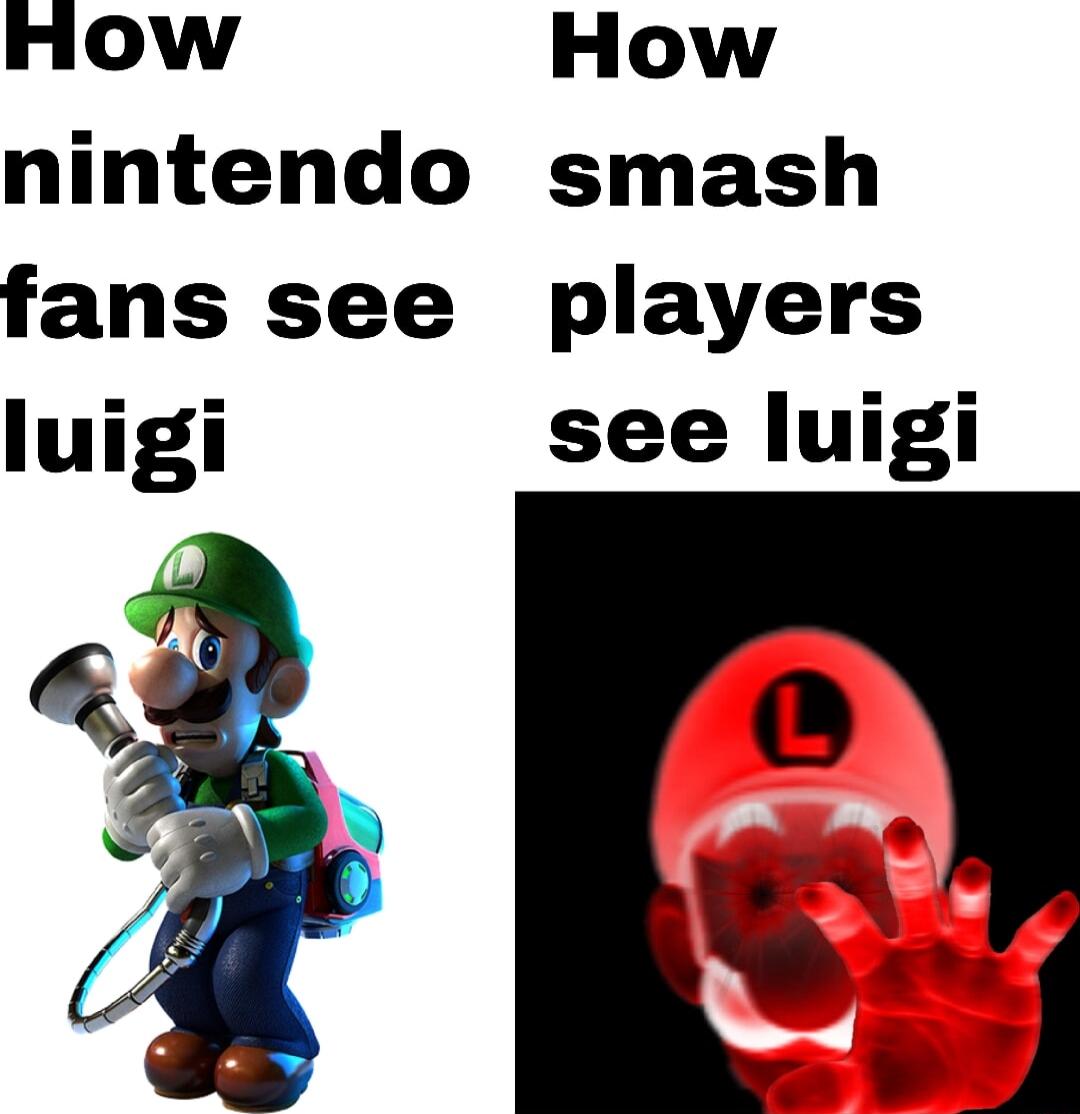 How How nintendo smash fans see players luigi see luigi