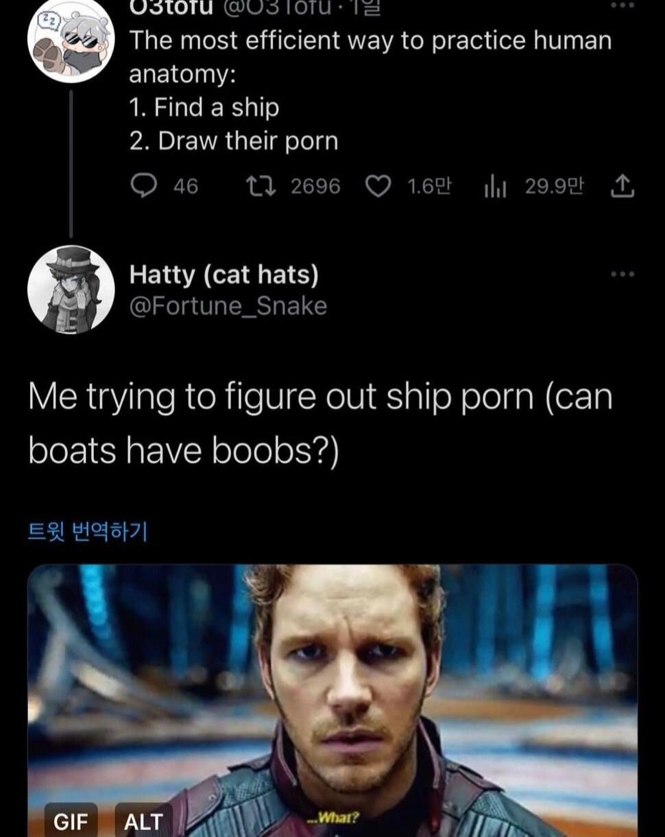 The most efficient way to practice human anatomy: 1. Find a ship 2. Draw their porn. Me trying to figure out ship porn (can boats have boobs?). ...What?