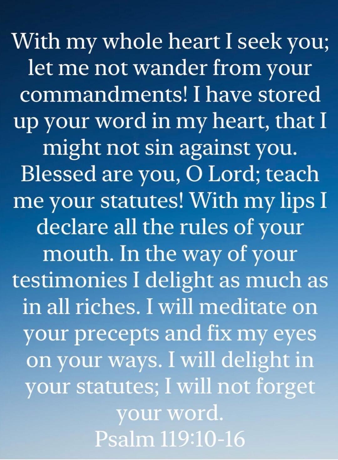 With my whole heart I seek you; let me not wander from your commandments! I have stored up your word in my heart, that I might not sin against you. Blessed are you, O Lord; teach me your statutes! With my lips I declare all the rules of your mouth. In the way of your testimonies I delight as much as in all riches. I will meditate on your precepts a