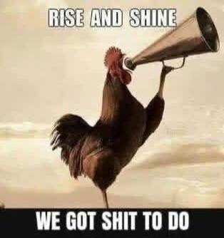 RISE AND SHINE WE GOT SHIT TO DO
