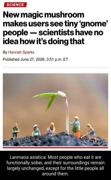 SCIENCE New magic mushroom makes users see tiny 'gnome' people — scientists have no idea how it's doing that By Hannah Sparks Published June 27, 2026, 3:51 p.m. ET Lanmaoa asiatica: Most people who eat it are functionally sober, and their surroundings remain largely unchanged, except for the little people all around them.