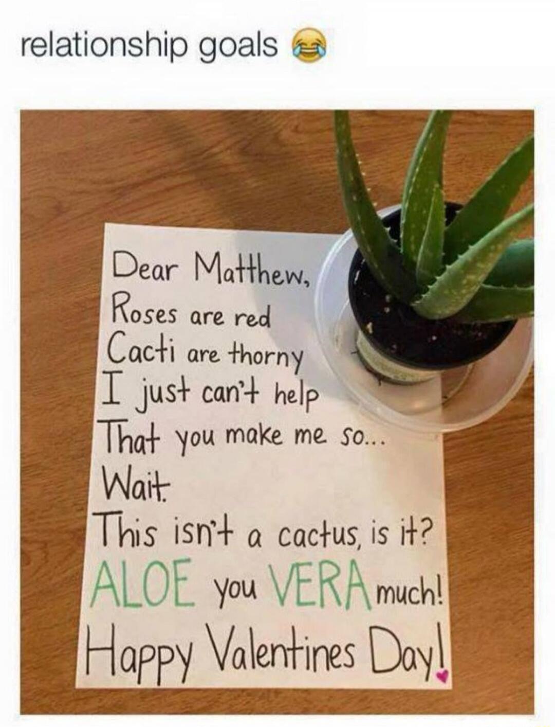 relationship goals 😂
Dear Matthew,
Roses are red
Cacti are thorny
I just can't help
That you make me so...
Wait.
This isn't a cactus, is it?
ALOE you VERA much!
Happy Valentines Day!