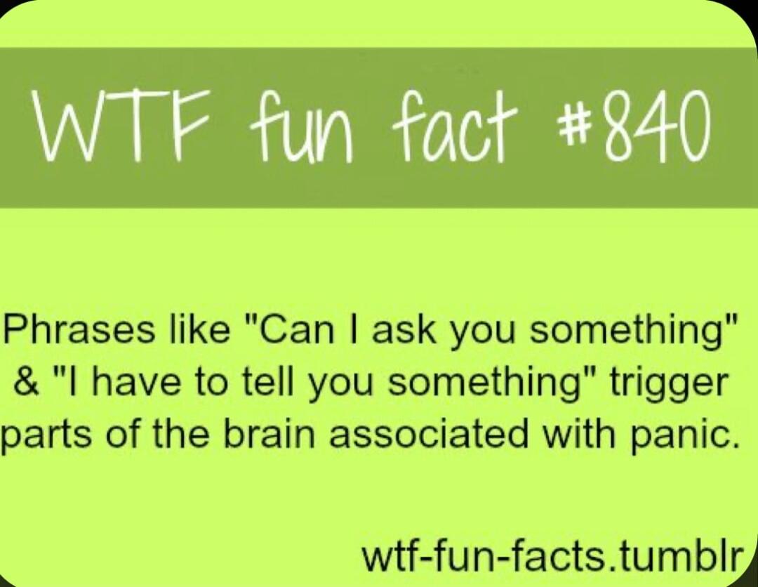 Phrases like Can ask you something l have to tell you something trigger parts of the brain associated with panic wtf fun factstumblr