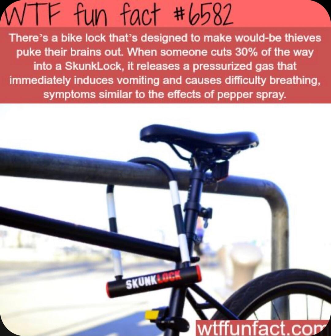 WTF fun fact 0082 R