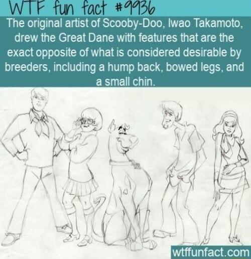 UL ETEL S TSR W TELR ELET 0 drew the Great Dane with features that are the exact opposite of what is considered desirable by breeders including a hump back bowed legs and a small chin