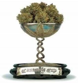 CANNABIS CUP