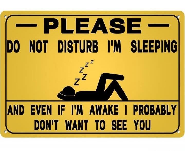PLEASE DO NOT DISTURB I'M SLEEPING AND EVEN IF I'M AWAKE I PROBABLY DON'T WANT TO SEE YOU