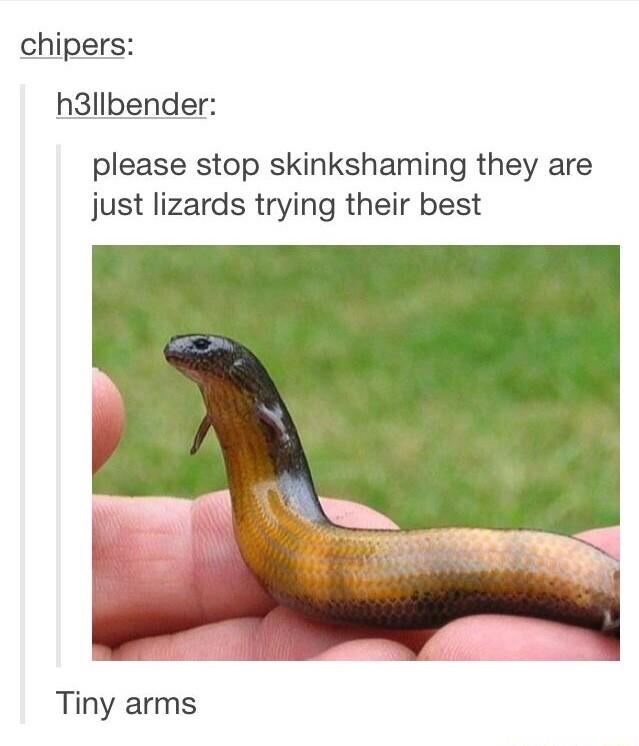 chipers h3llbender please stop skinkshaming they are just lizards trying their best Tiny arms