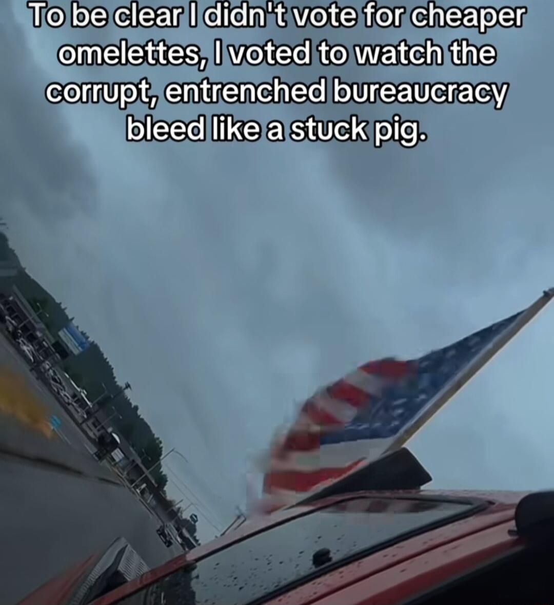 iolbelclearlididntivoteiforicheaper ChEERES IVeE RO e bleedlikelalstuckipig