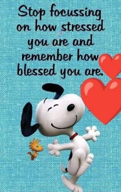 Stop focussing on how stressed you are and remember how blessed you are.