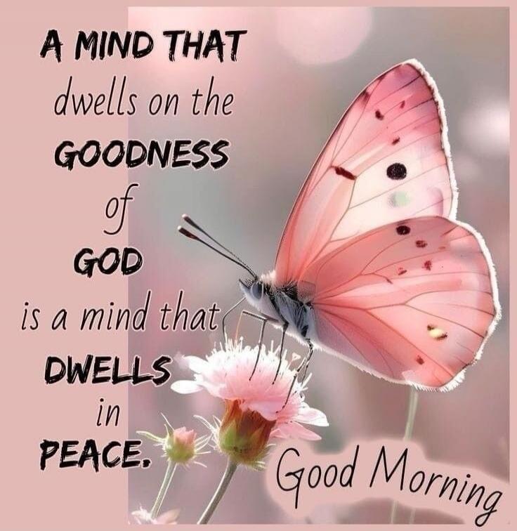 A MIND THAT dwells on the GOODNESS of GOD is a mind that DWELLS in PEACE. Good Morning