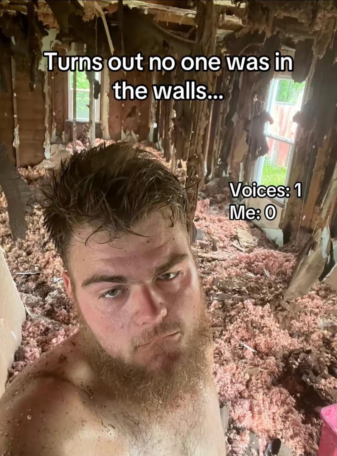 Turns out no one was in the walls... Voices: 1 Me: 0