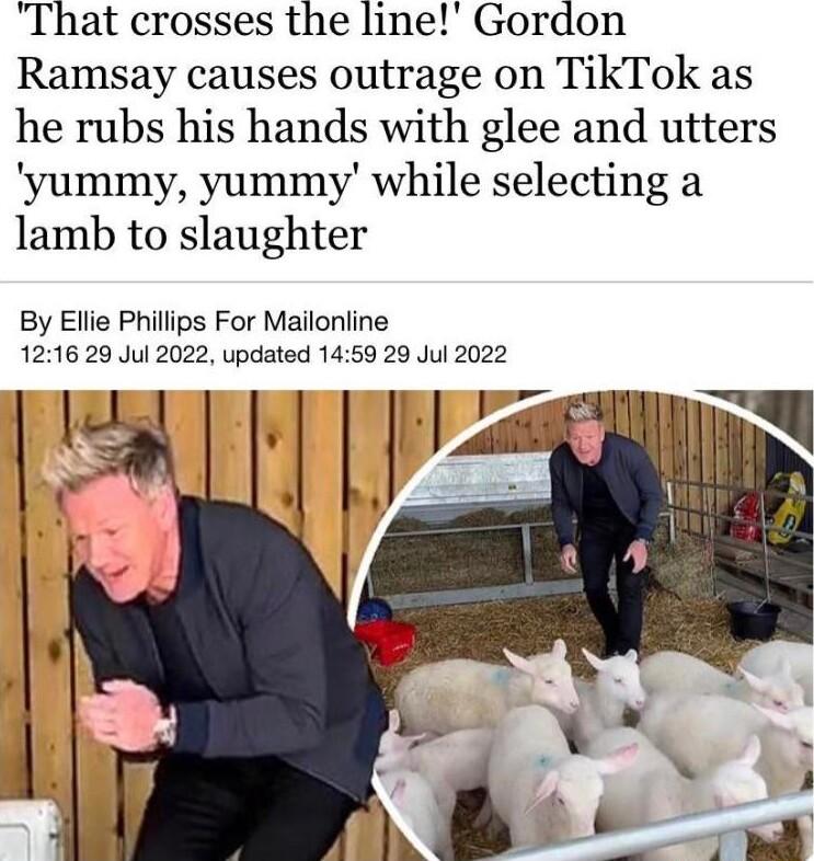 That crosses the line Gordon Ramsay causes outrage on TikTok as he rubs his hands with glee and utters yummy yummy while selecting a lamb to slaughter By Ellie Philips For Mailonline 1216 29 Jul 2022 updated 1459 29 Jul 2022