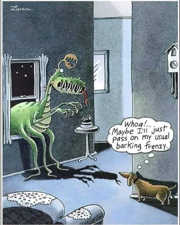 Whoa e s be L1 just pass on My usual J