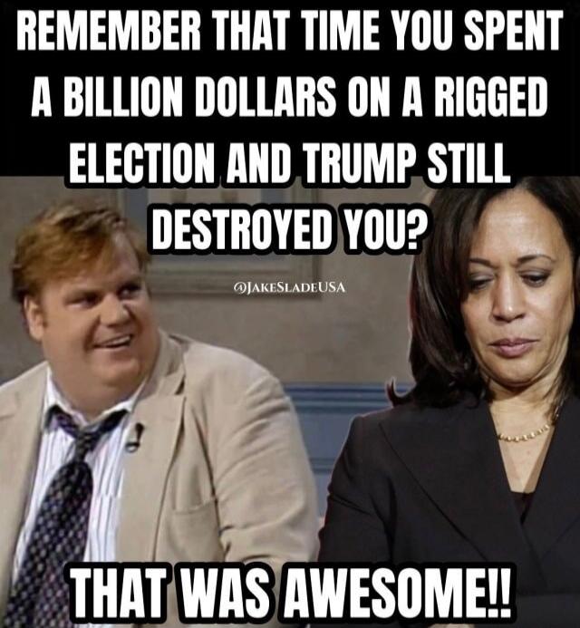 REMEMBER THAT TIME YOU SPENT A BILLION DOLLARS ON A RIGGED ELECTION AND TRUMP STILL DESTROYED YOU? THAT WAS AWESOME!!