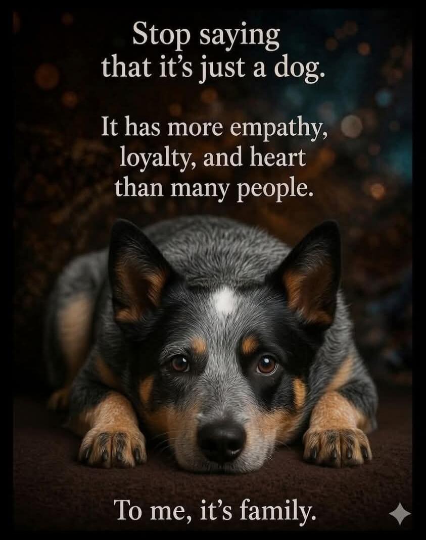 Stop saying that it's just a dog. It has more empathy, loyalty, and heart than many people. To me, it's family.