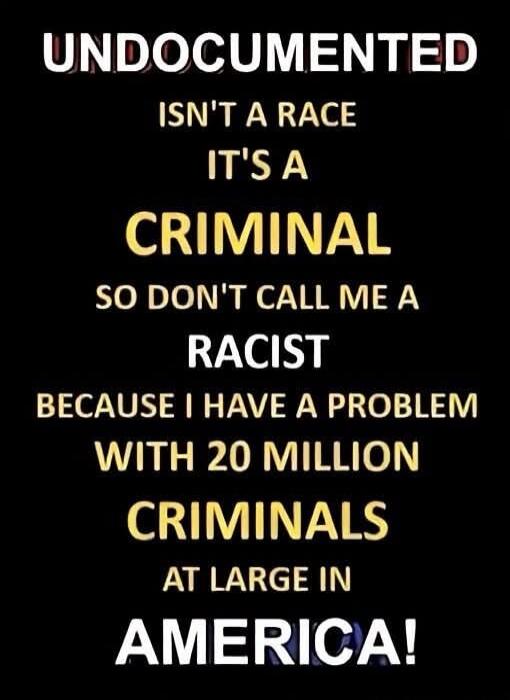 UNDOCUMENTED ISN'T A RACE IT'S A CRIMINAL SO DON'T CALL ME A RACIST BECAUSE I HAVE A PROBLEM WITH 20 MILLION CRIMINALS AT LARGE IN AMERICA!