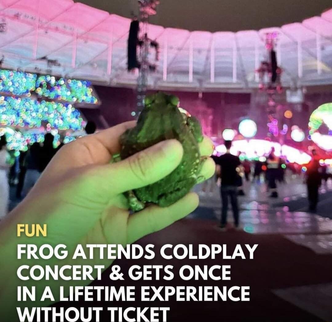 FUN FROG ATTENDS COLDPLAY CONCERT GETS ONCE IN A LIFETIME EXPERIENCE WITHOUT TICKET