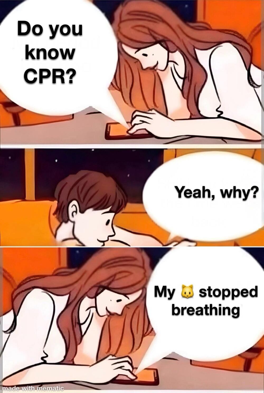 Do you know CPR?
Yeah, why?
My cat stopped breathing