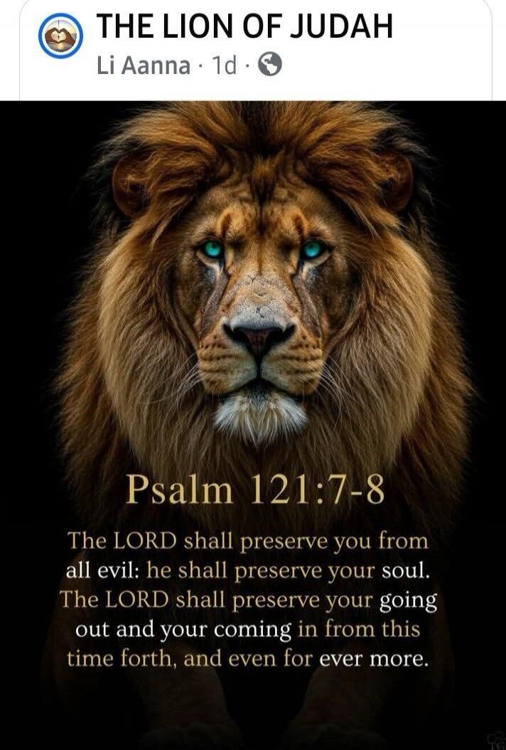 THE LION OF JUDAH Psalm 121:7-8 The LORD shall preserve you from all evil: he shall preserve your soul. The LORD shall preserve your going out and your coming in from this time forth, and even for ever more.