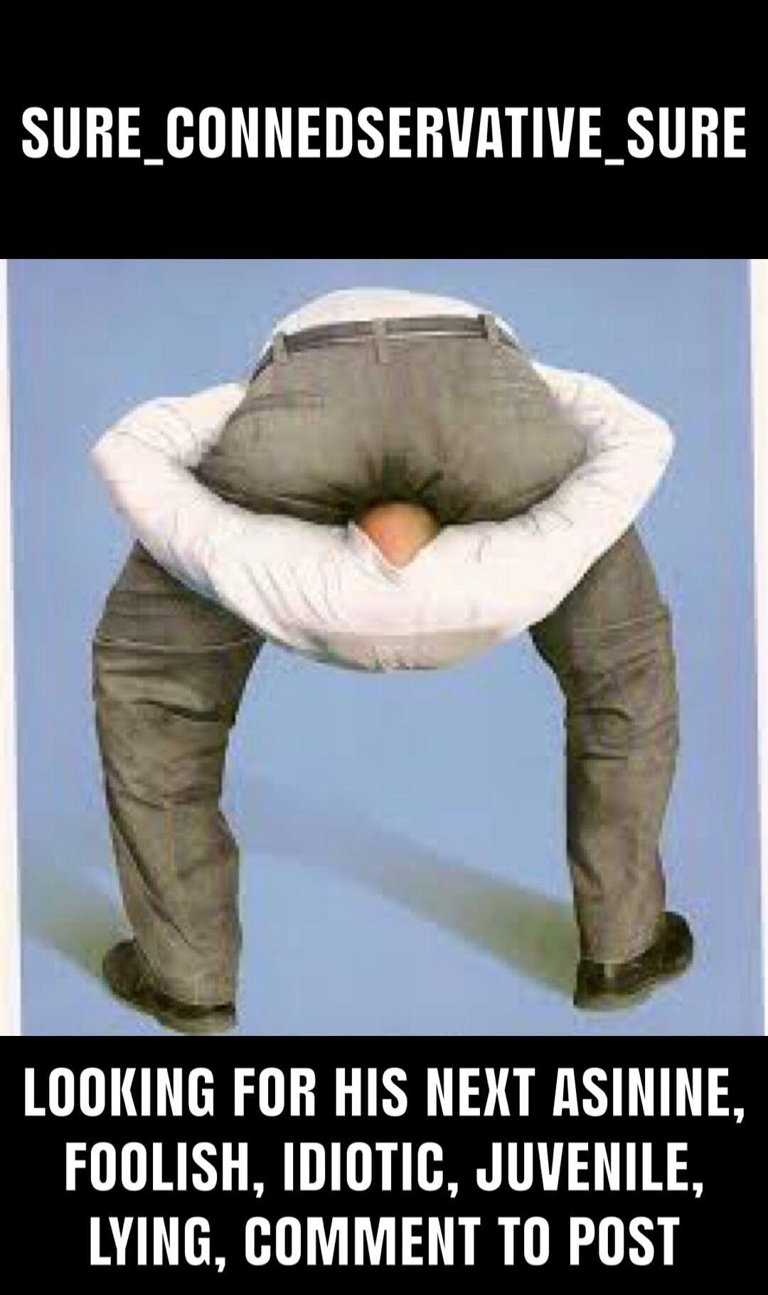 SURE_CONNEDSERVATIVE_SURE LOOKING FOR HIS NEXT ASININE, FOOLISH, IDIOTIC, JUVENILE, LYING, COMMENT TO POST